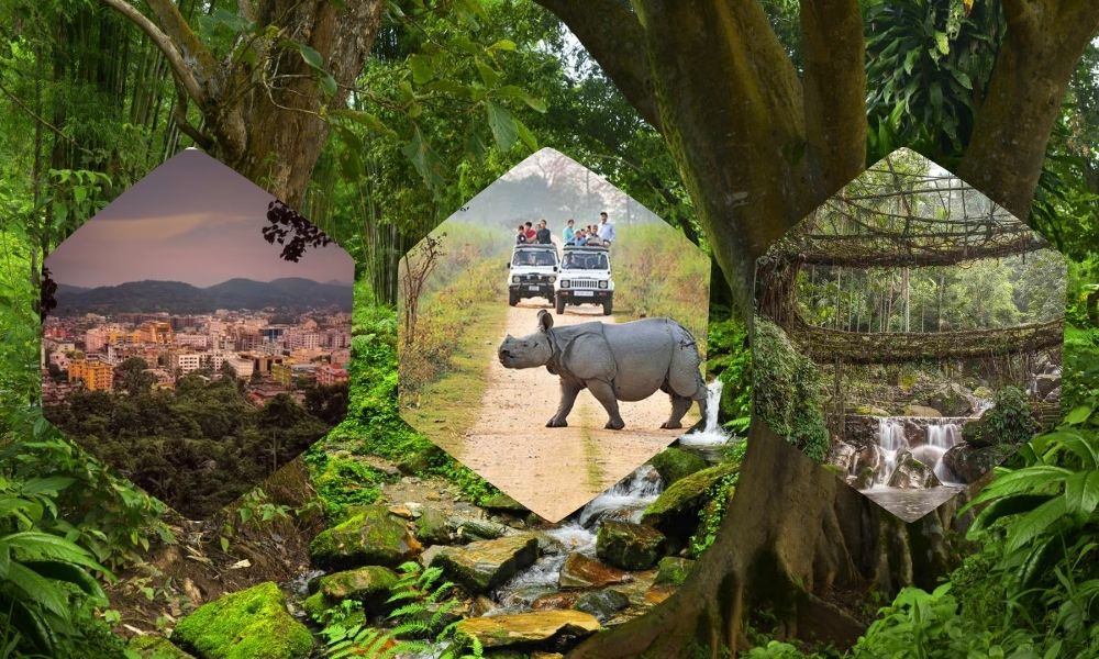 Kaziranga-Meghalaya-Wildlife-Trip