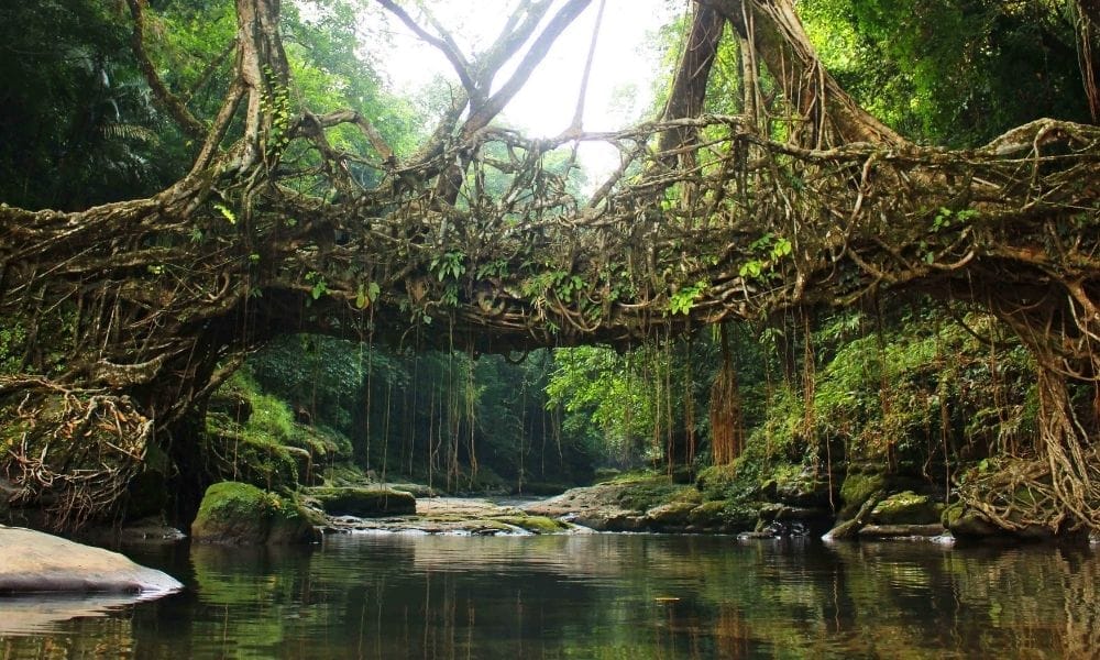 Meghalaya-Itinerary-for-5-to-7-Days