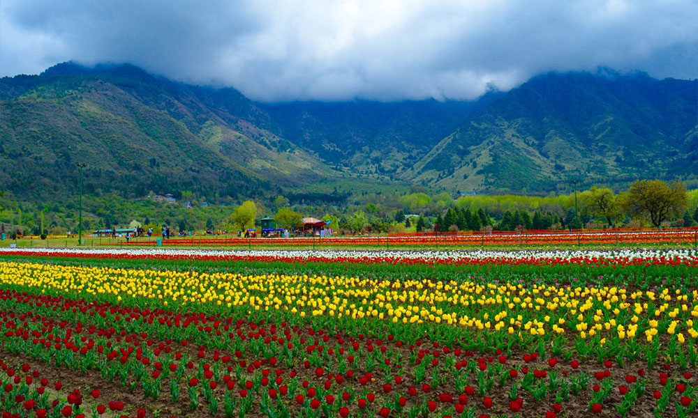 Jammu-and-Kashmir-Garden-of-Eden